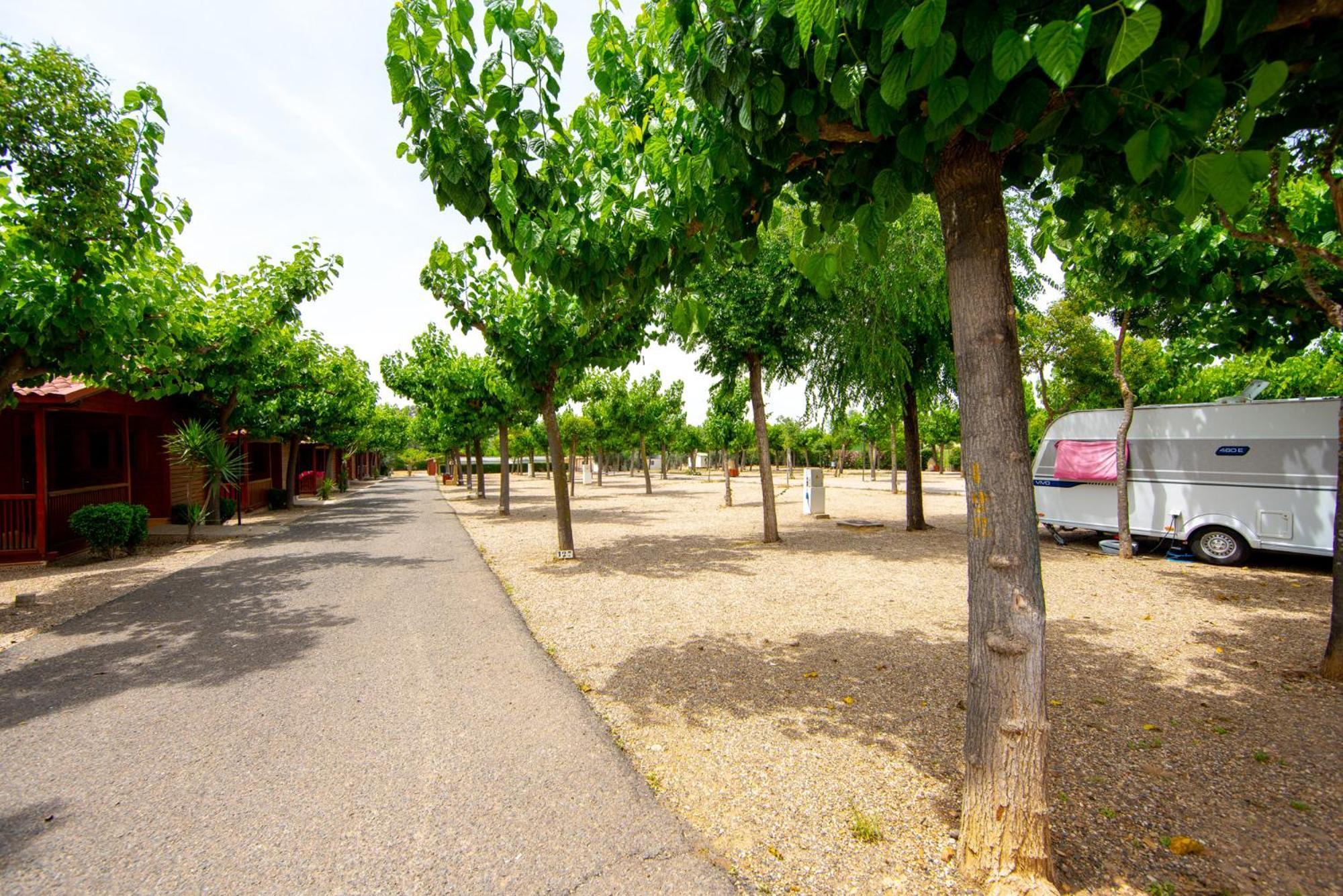 Camping Carlos III La Carlota Eksteriør billede